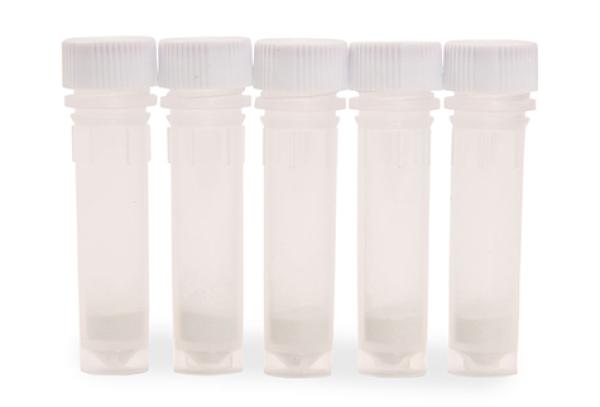 Lyseröhrchen 100x2mL 100μm ZrO2 Beads