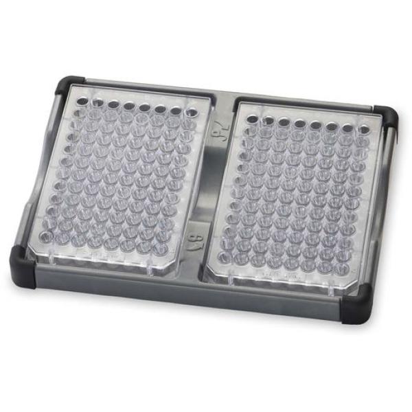 Doppelter Mikroplattenhalter